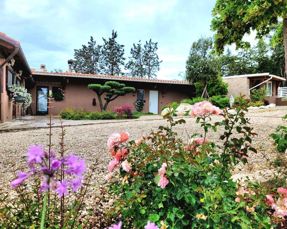 La Collina Dei Cavalieri Villa Belvedere Ostrense Exterior photo