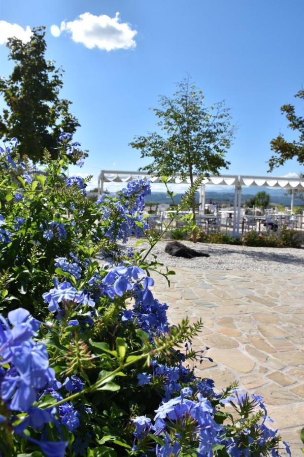 La Collina Dei Cavalieri Villa Belvedere Ostrense Exterior photo